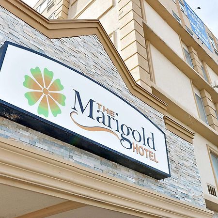 The Marigold Hotel Brampton Zewnętrze zdjęcie